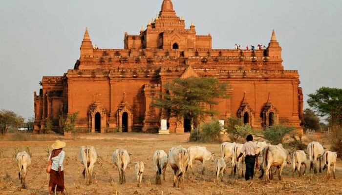 bagan 2